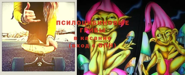 спайс Тавда